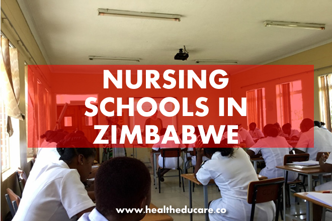 Nursing Schools in Zimbabwe-2