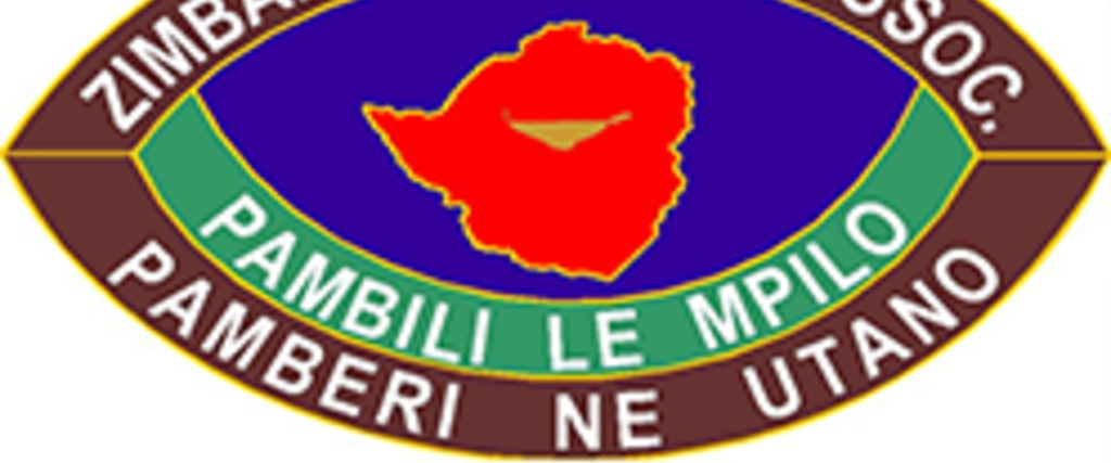 Zimbabwe Nurses Association