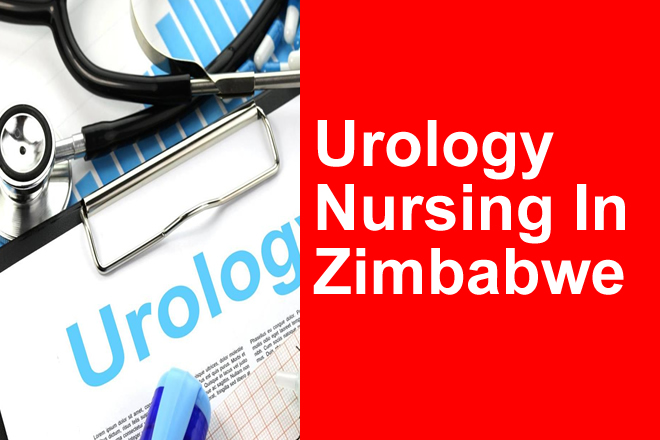 urology Nursing in Zimbabwe