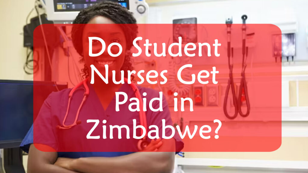 Do Student Nurses Get Paid in Zimbabwe